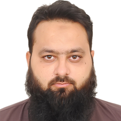 syed zeeshan rizvi