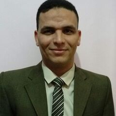Ahmed Youssef Ahmed Ali Elsayed Ali, Branch Chief Accounts