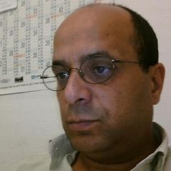 عماد غانمي, Directeur de site