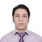 Hazem Abdel Aziz Ibrahim, Senior Application Developer