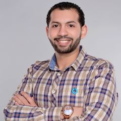 Amr mohamed ali Hamad, Senior Software Quality Engineer - Act as TL