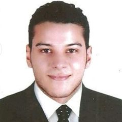 Ali Abdelnabi Abu El-enain