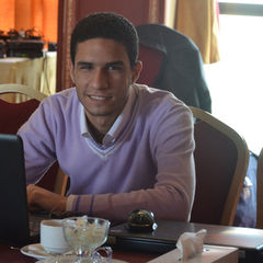Mahmoud Gomaa Alariny, writer