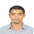 Amr Awad Abdel Aziz, Technical Representative