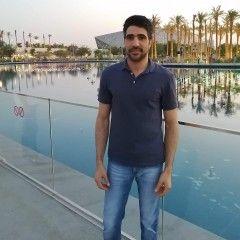 Ayman Harb Salem Abdelhafez, accountant