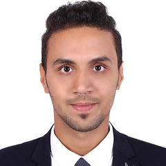 محمد الغول, Engineer Team Leader 