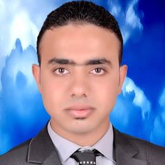 أحمد شعبان محمد عباس شعبان, Accountant