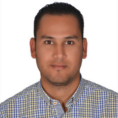 tarek hassan abdellah mahmoud mahmoud, Civil Site Engineer/ structural engineer