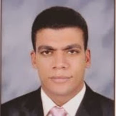 Ahmed Salah, Senior Accountant