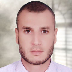 Ayman Younes Elgendy, Senior Application Developer