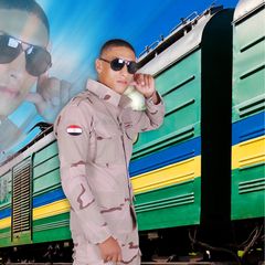 ibrahim abdal aziz Ibrahim diab