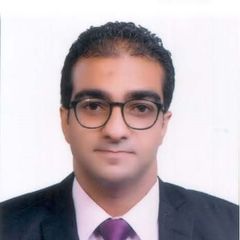 Mohamed Ezzeldin Abdel Shafi, Customer Service Manager