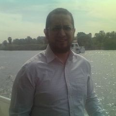 طلعت سعيد محمد راشد, Development Team Leader