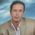 Tamer Mahmoud Hanfy, Sales Representative