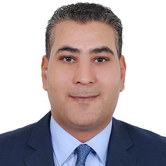 Mohamed Mansour, projects manager