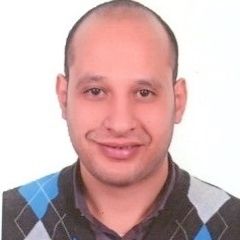 Walied Mahmoud Hussein, Sales Manager