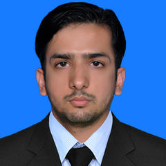 Naseer Ahmed, Accountant