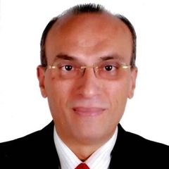 Hisham Anas El-Shawy, Human Resources Director / Reporting
