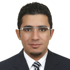 Ahmed  Elnokrashy , مشرف علاقات عامة