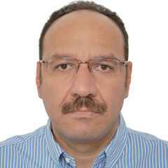 Adham ELSharkawy, CEO