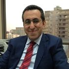 Hassan Bahsoun, Finance Manager-Health Care Sector