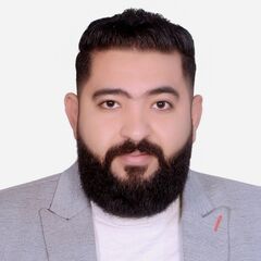 Mohamed  wagih , Sales Force Automation - Consultant