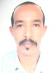 Badreldin Bashir Albadri Albadri, internal auditor