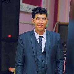 Hossam Elnady , Chartered Accountant