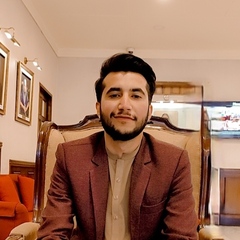 Muhammad Shoaib, Software Developer