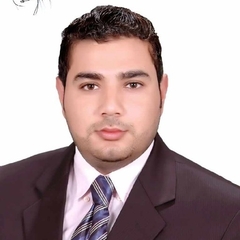 محمد عبد الفتاح  بشار