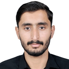 Muhammad  Afzal