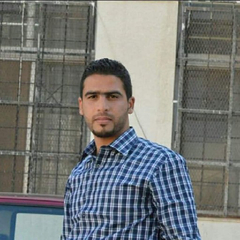 anas owaidat