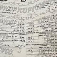 فاطمة العامري