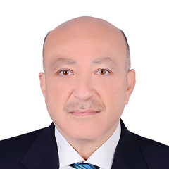 محمد الغنيمي, SENIOR IN-CHARGE AUDITOR