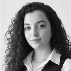  Alaa Elhawary, Translator