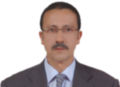 عز الدين لوهمادي, Chef de projet  - Consultant technique