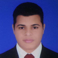 Elsayed Ahmed Ali, Power Plant  Operation Engineer