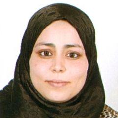Monia Seddik Mahdhaoui, Information System,Webmaster and computer software