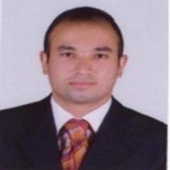 Walid Gomaa Abd Elgany Abd Elgany, Chief Financial Officer (cfo)