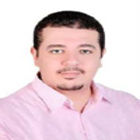 Ahmed Ibrahim, Digital Media Consultant