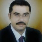 ayman kamal youssef