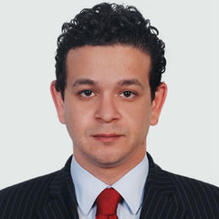 ahmed sharaf, Senior Technical Consultant