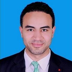 Mahmoud Mohamed Ibraheem Ibraheem, Proposals Coordinator