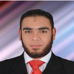 محمود حسن محمد القيمه, Accountant
