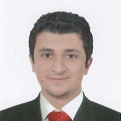 عمر حميده, Technical Support Manager