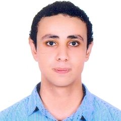 يوسف الخولي, senior .net developer 