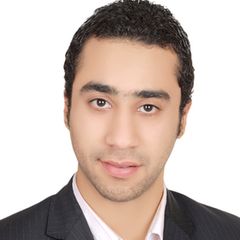 Mostafa El Sayed, Junior Accountant