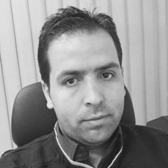 محمود أحمد محمد علي الجيتاوي الجيتاوي, Industrial Sector Manager