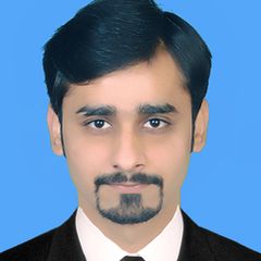 Zohaib Saleem, Junior Accountant