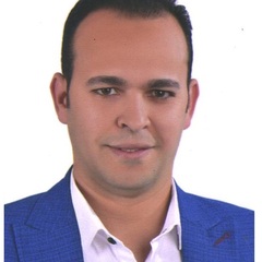 Hussein Mostafa Salem Radwan, مدير حسابات ونائب المدير المالى  
